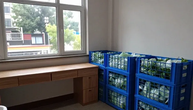 企业选型中的性能考量与适用场景分析